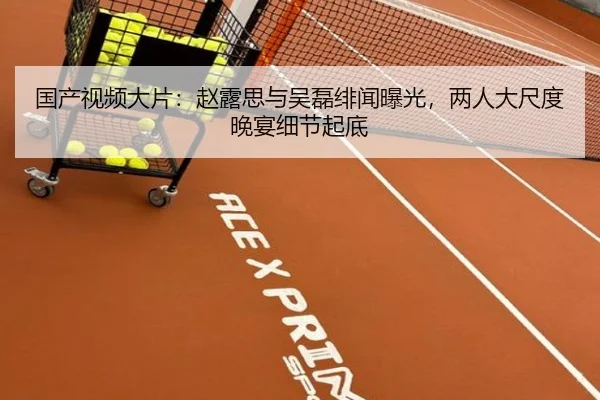 国产视频大片：赵露思与吴磊绯闻曝光，两人大尺度晚宴细节起底